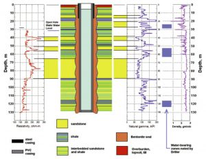 TRAINING ONLINE WELL LOG INTERPRETATION