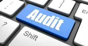 TRAINING ONLINE TEKNIK DAN METODOLOGI AUDIT KINERJA INSTANSI/ORGANISASI/ENTITAS/KORPORASI