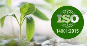 TRAINING ONLINE ISO 14001:2015