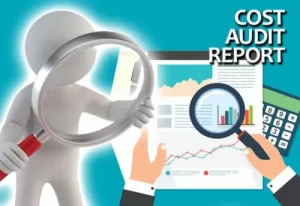 TRAINING ONLINE COST AUDITING